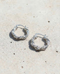gritter-spiral-hoop pierce