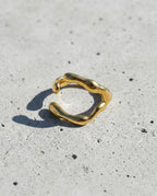 liquid-flow ring