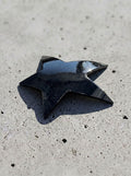 large-star hair clip