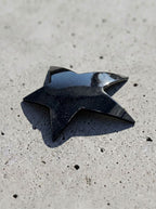 large-star hair clip