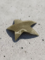 large-star hair clip