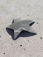 large-star hair clip